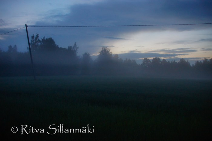 fog- Ritva Sillanmäki (34 of 45)