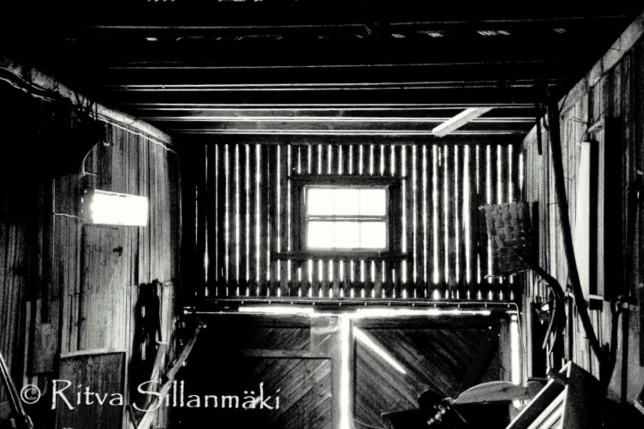 Junk store (68 of 91)