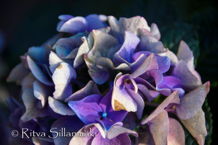 Kantvik (106 of 135)