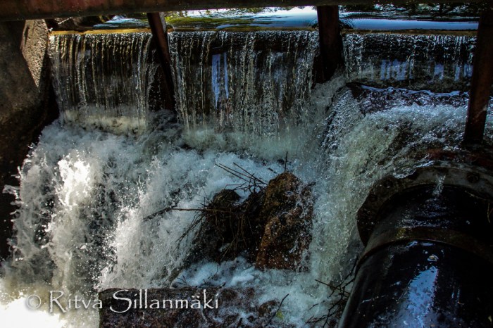 kumianmylly  (149 of 184)