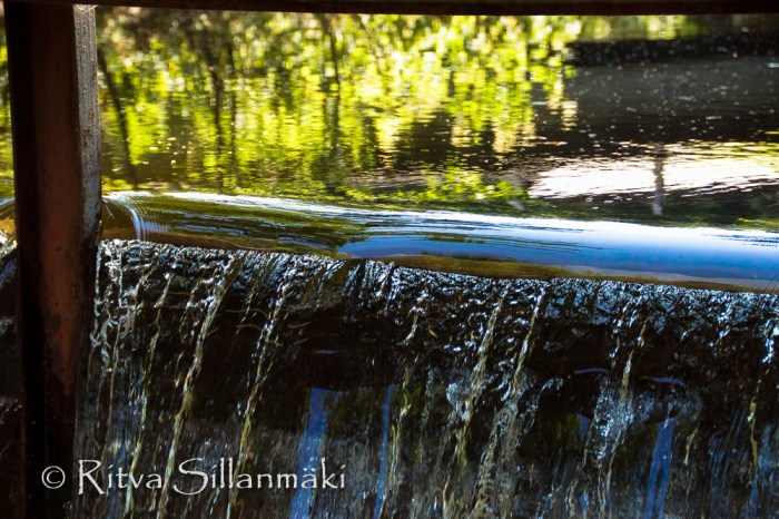 kumianmylly  (163 of 184)