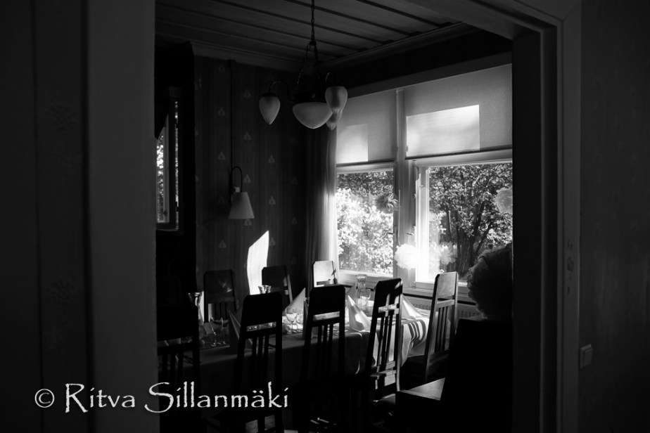 Parkvilla- Ritva Sillanmäki (3 of 5)