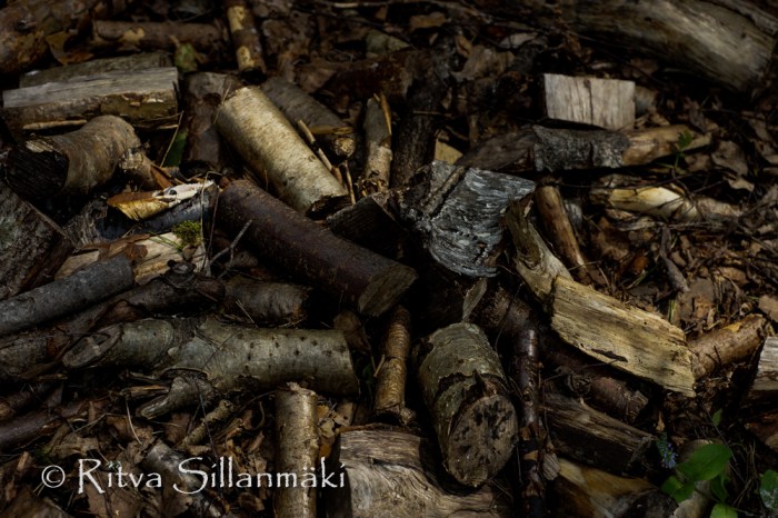 vääksy- Ritva Sillanmäki (3 of 3)