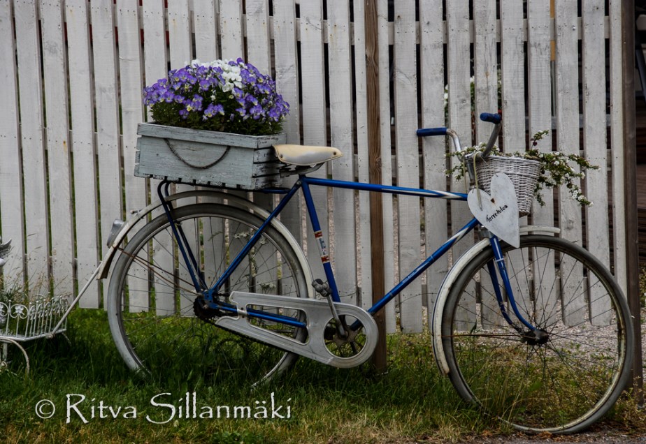 vääksy- Ritva Sillanmäki (31 of 75)