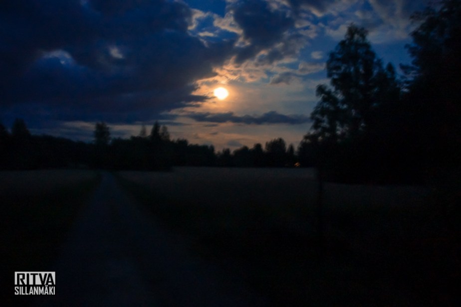 harvest moon (11 of 13)