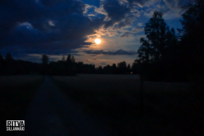 harvest moon (11 of 13)