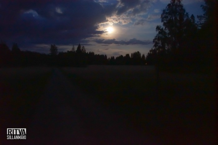 harvest moon (12 of 13)