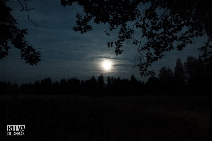 harvest moon (2 of 5)