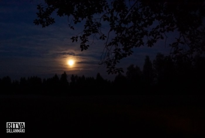 harvest moon (3 of 5)