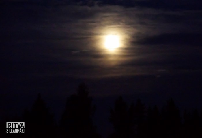 harvest moon (4 of 5)