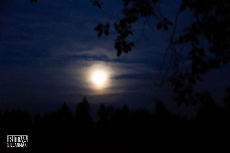 harvest moon (5 of 5)