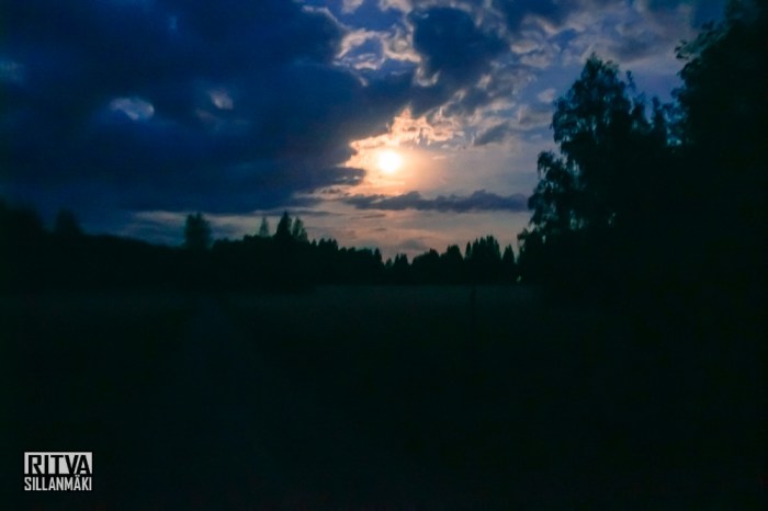 harvest moon (7 of 13)