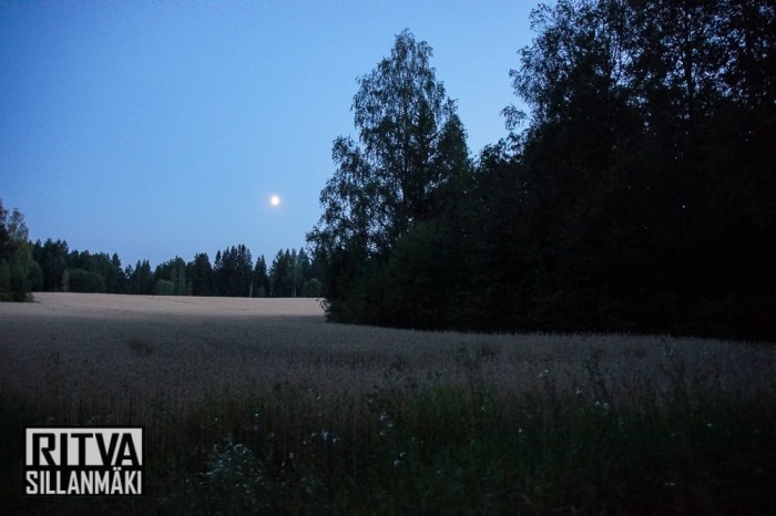 moon over fields (35 of 38)