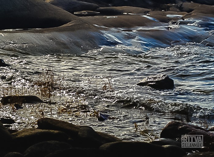 nature fall 2014 (1 of 1)-3