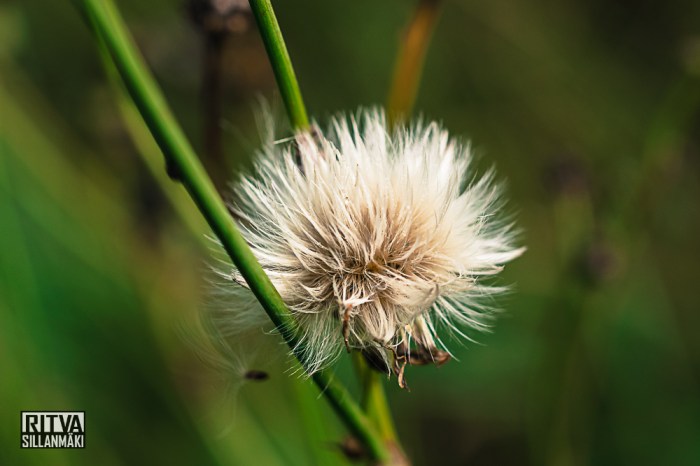 nature fall 2014 (25 of 45)