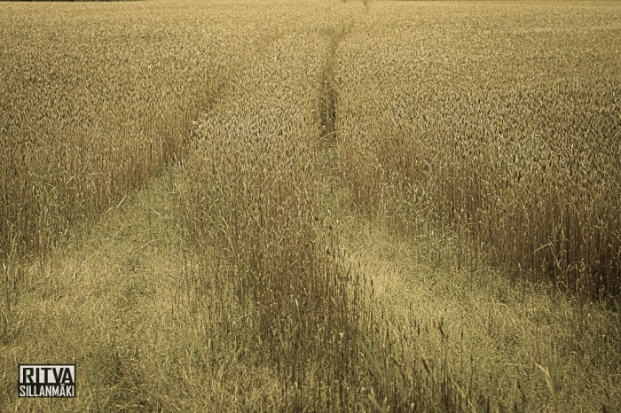 nature fall 2014 (33 of 45)