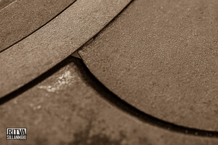 nature fall 2014 (40 of 45)