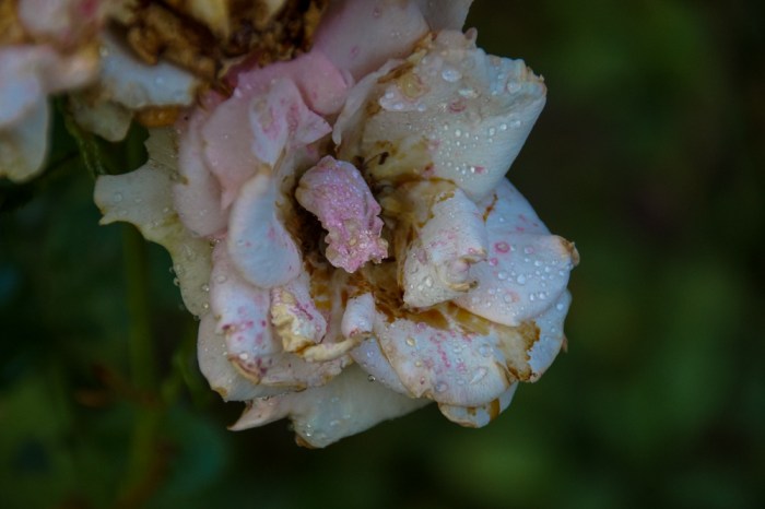 Oliver_08_2014 (55 of 61)