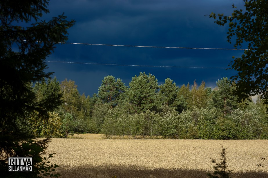 on the ground (66 of 80)