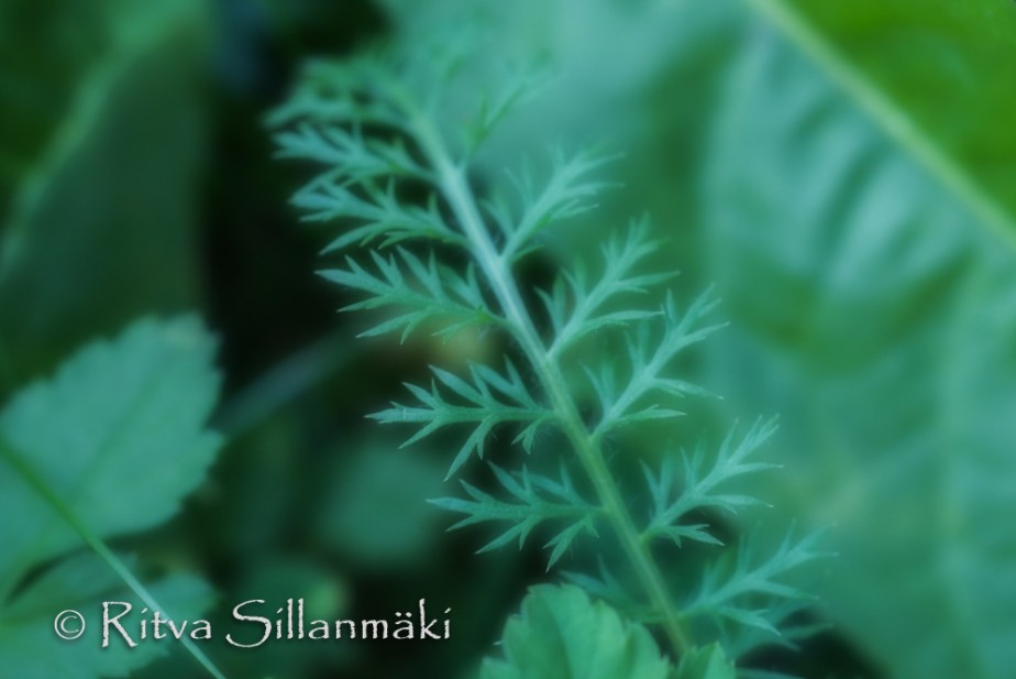 RS 040814 (113 of 120)