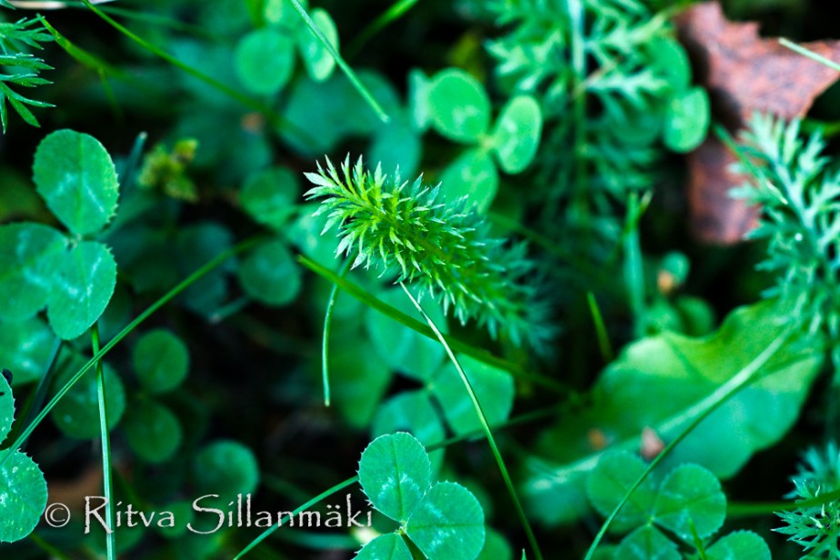 RS 040814 (114 of 120)