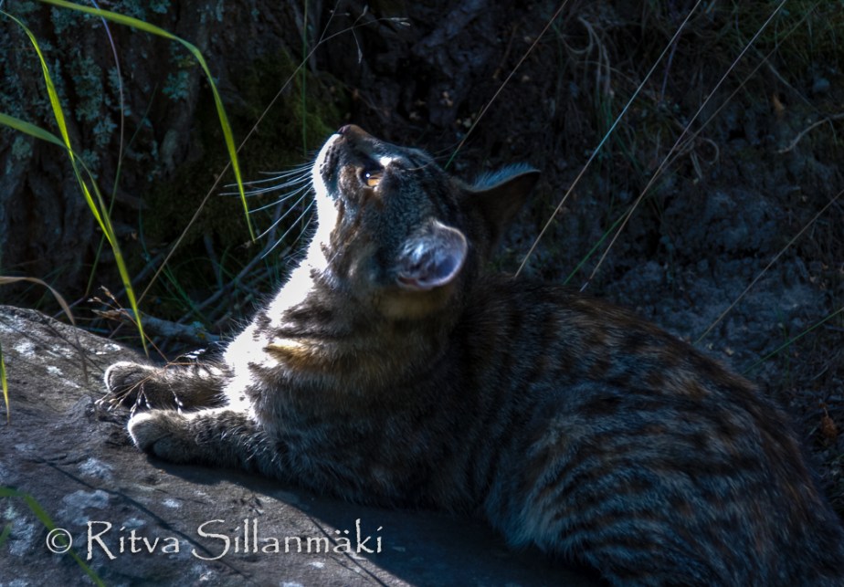 RS 040814 (3 of 120)