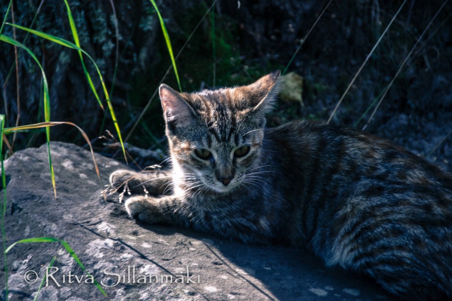 RS 040814 (5 of 120)