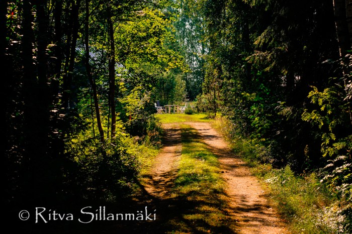 RS 040814 (84 of 120)