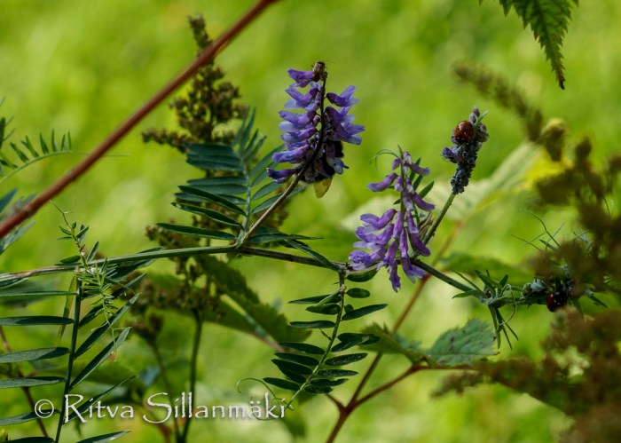 RS 040814 (99 of 120)