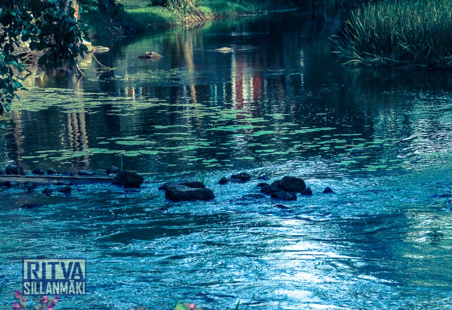 RS060814 (17 of 158)