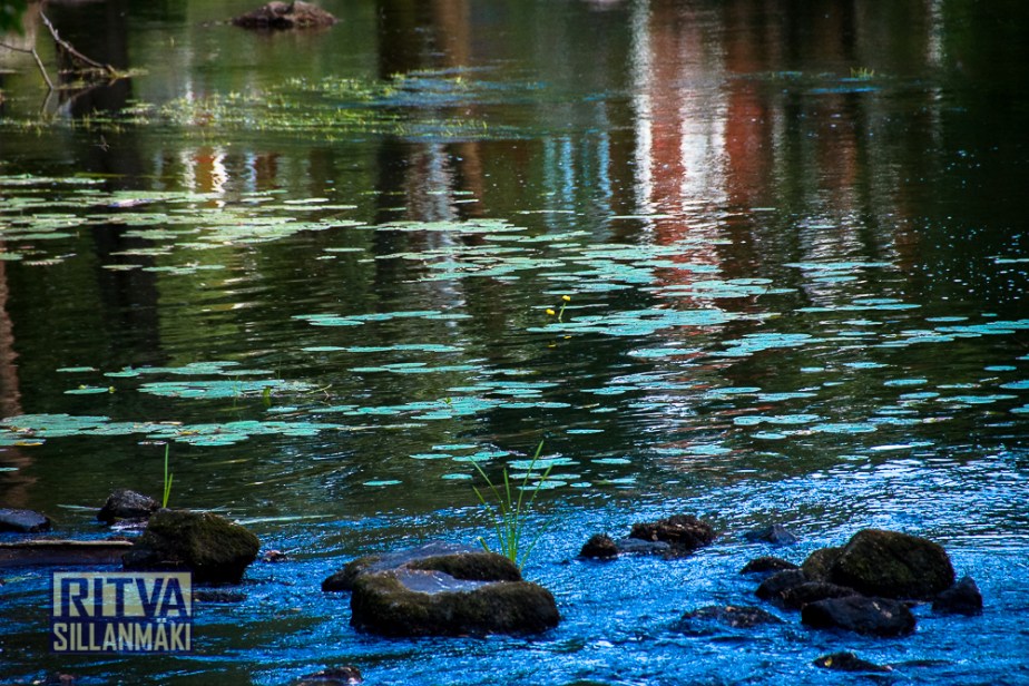 RS060814 (18 of 158)