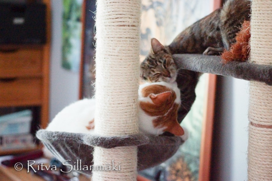 RS_08_2014 (101 of 102)