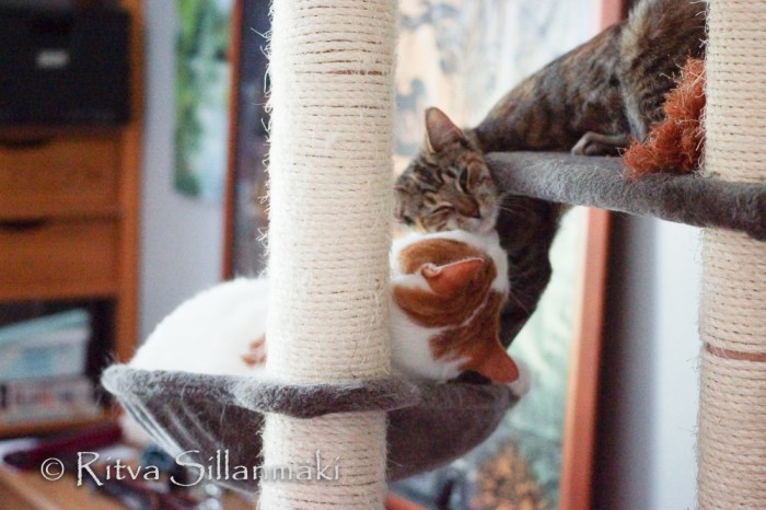 RS_08_2014 (101 of 102)