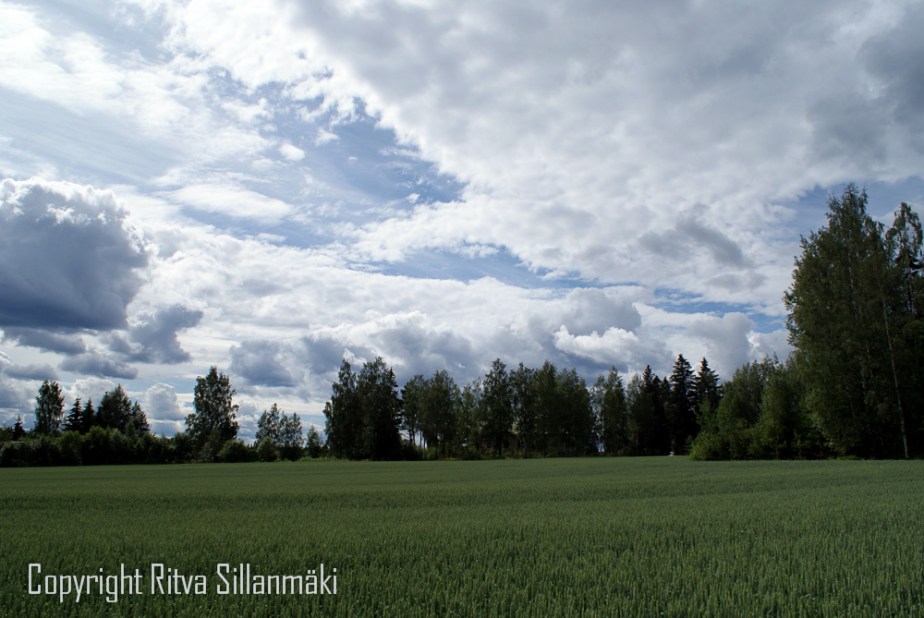 Ruuhijärvi sky