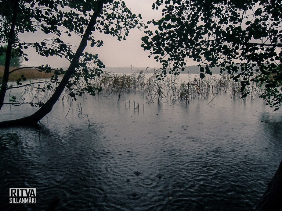 Humaljärvi (4 of 20)