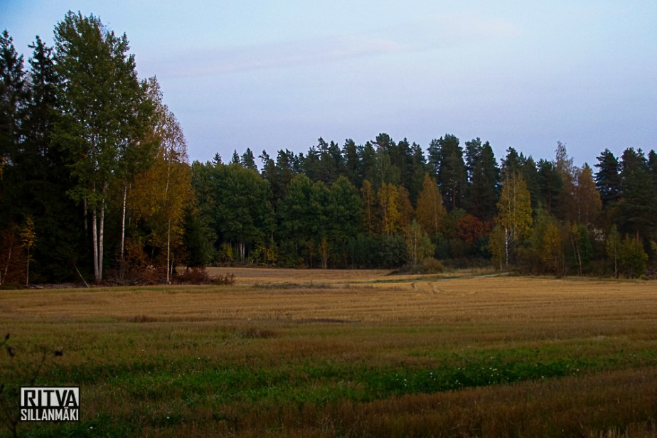 Ruska / Autumn  colors