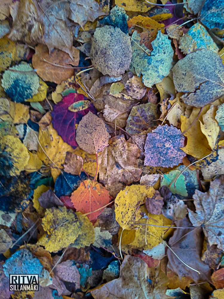 Looking at the ground