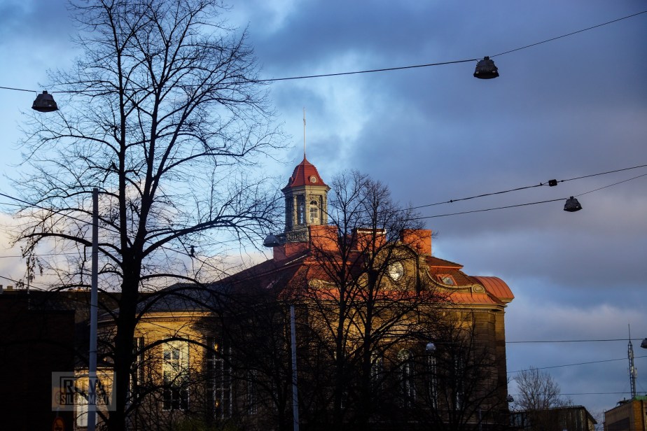 Ritva Sillanmäki-129-2