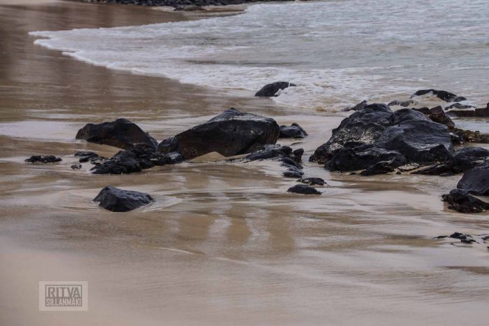 Ritva's Photos (13 of 32)