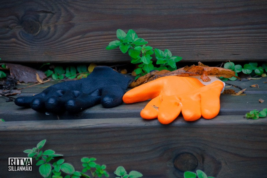 Bro November (1 of 1)