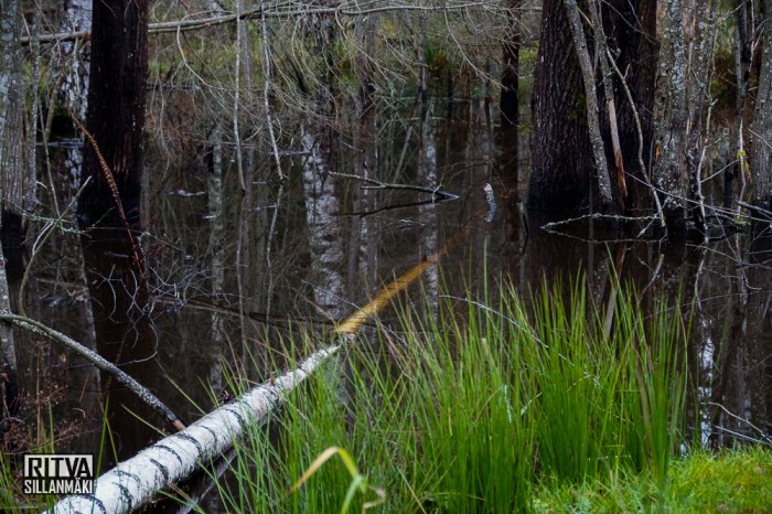 Bro November (3 of 5)