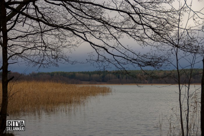Humaljärvi November (12 of 39)