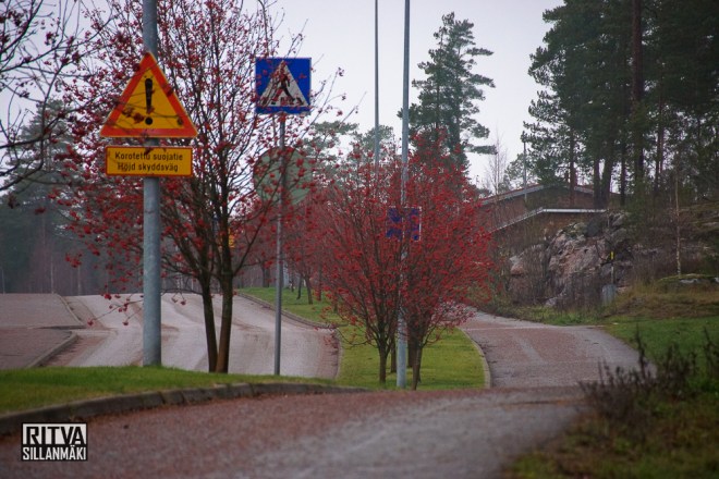 which way NOvember (24 of 36)