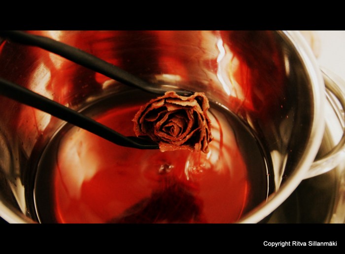 1-DSC06792 – kopio