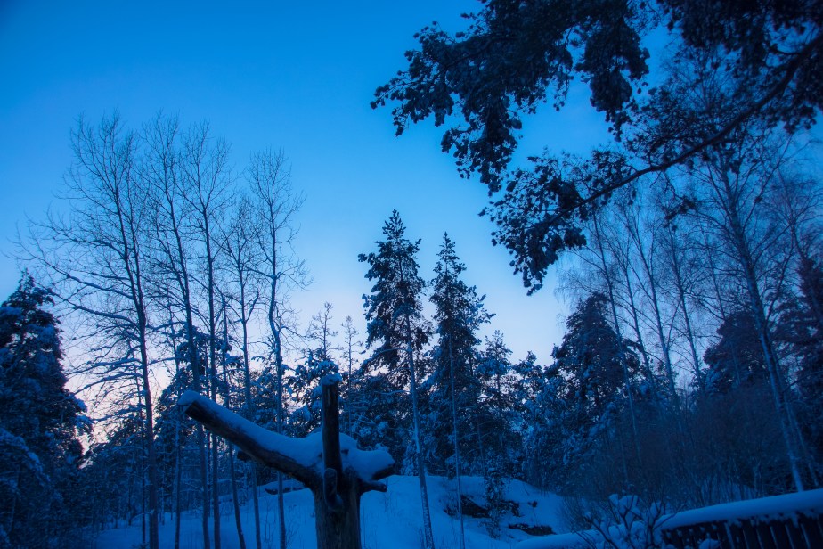 joulu-241214 (141 of 148)