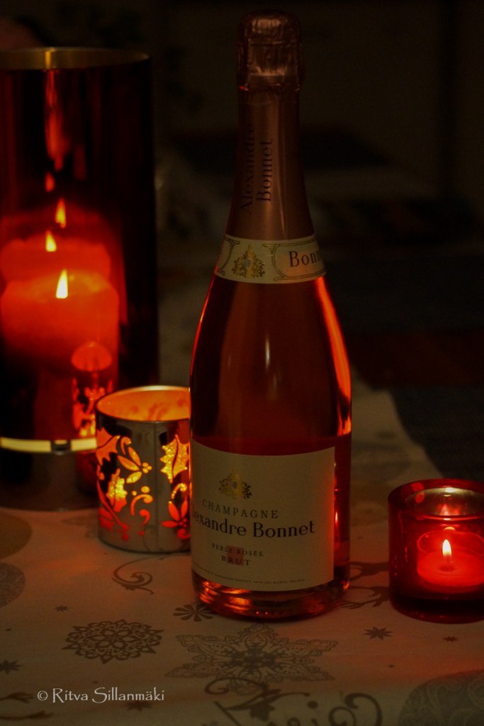 Ritva Sillanmäki-161214 (3 of 4)