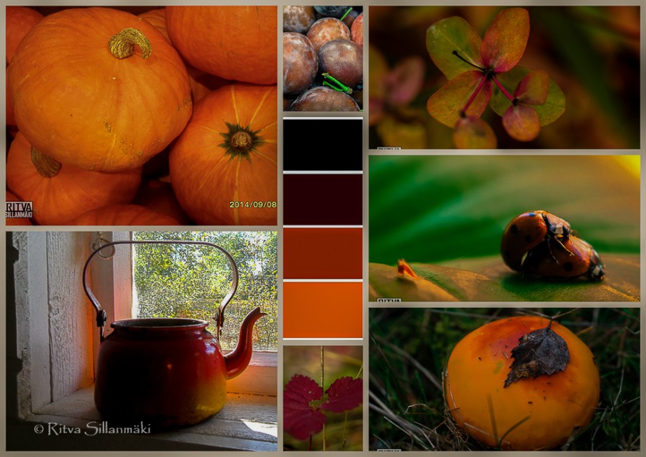 Ritva Sillanmäki - värikollaasi (1 of 1)