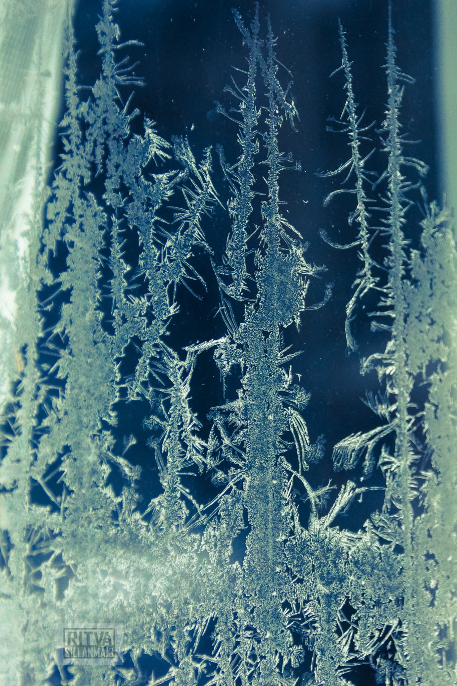 Ritva's Photos (90 of 232)