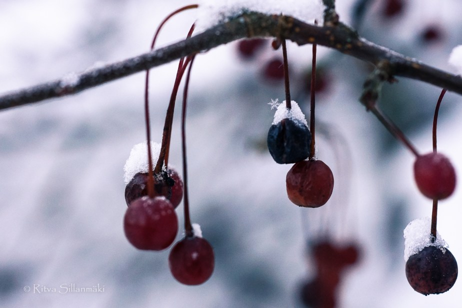 RS 281214 (100 of 147)