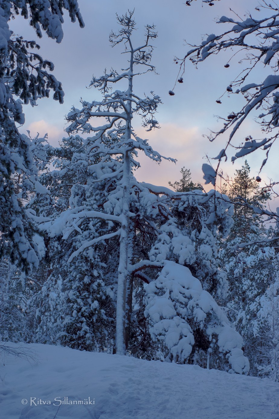 RS 281214 (111 of 147)